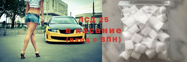 ECSTASY Алзамай