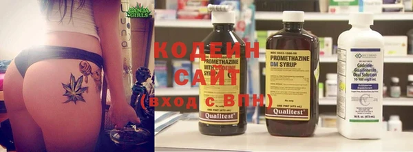 ECSTASY Алзамай