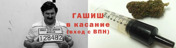 ECSTASY Алзамай